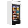 Expositor refrigerado TEFCOLD FSC1000S