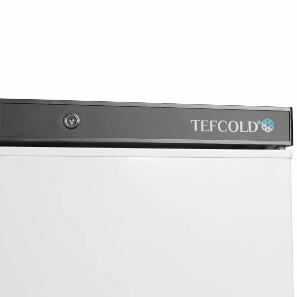 Tefcold- Congelador de almacenamiento TEFCOLD UF200V