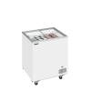 Tefcold- Congelador para helados TEFCOLD IC201SC