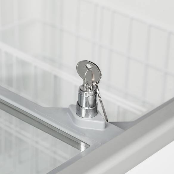 Tefcold- Congelador para helados TEFCOLD IC201SC