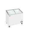 Congelador para helados TEFCOLD IC301SCEB