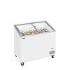Congelador para helados TEFCOLD IC301SCEB