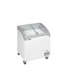 Tefcold- Congelador para helados TEFCOLD NIC201SCEB