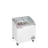 Tefcold- Congelador para helados TEFCOLD NIC201SCEB