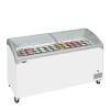 Tefcold- Congelador para helados TEFCOLD NIC501SCEB