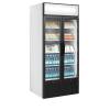 Tefcold- Expositor refrigerado puertas batientes TEFCOLD FSC891H
