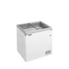 Tefcold- Congelador para helados TEFCOLD NIC201SC