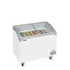 Tefcold- Congelador para helados TEFCOLD NIC301SCEB