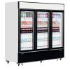 Tefcold- Armario Expositor refrigerado TEFCOLD LGC7500