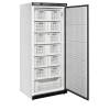 Congelador de almacenamiento TEFCOLD UF600S W/BASKETS