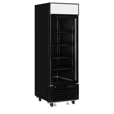 Congelador expositor TEFCOLD LGF2500B