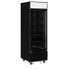 Display freezer TEFCOLD LGF2500B
