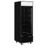 Expositor refrigerado TEFCOLD LGC2500B