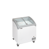 Congelador para helados TEFCOLD NIC202SCEB