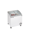 Congelador para helados TEFCOLD NIC202SCEB