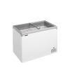 Congelador para helados TEFCOLD NIC302SC