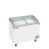 Congelador para helados TEFCOLD NIC302SCEB