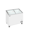 Congelador para helados TEFCOLD IC302SCEB