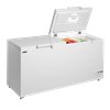 Arcón Congelador Tapa Abatible TEFCOLD FR605 SL
