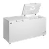 Arcón Congelador Tapa Abatible TEFCOLD FR605 SL