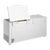 Arcón Congelador Tapa Abatible TEFCOLD FR605 SL