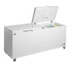 Congelador para helados TEFCOLD CF701 SL