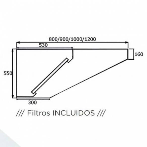 Campana Extractora Industrial Slim Techo Bajo Acero Inoxidable Fondo 1000-Z126CMSLB100